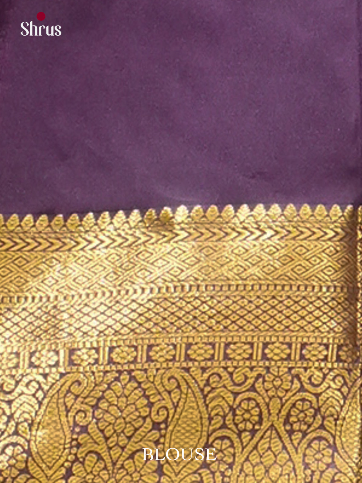 Kanchipuram-halfpure Saree - EH19025