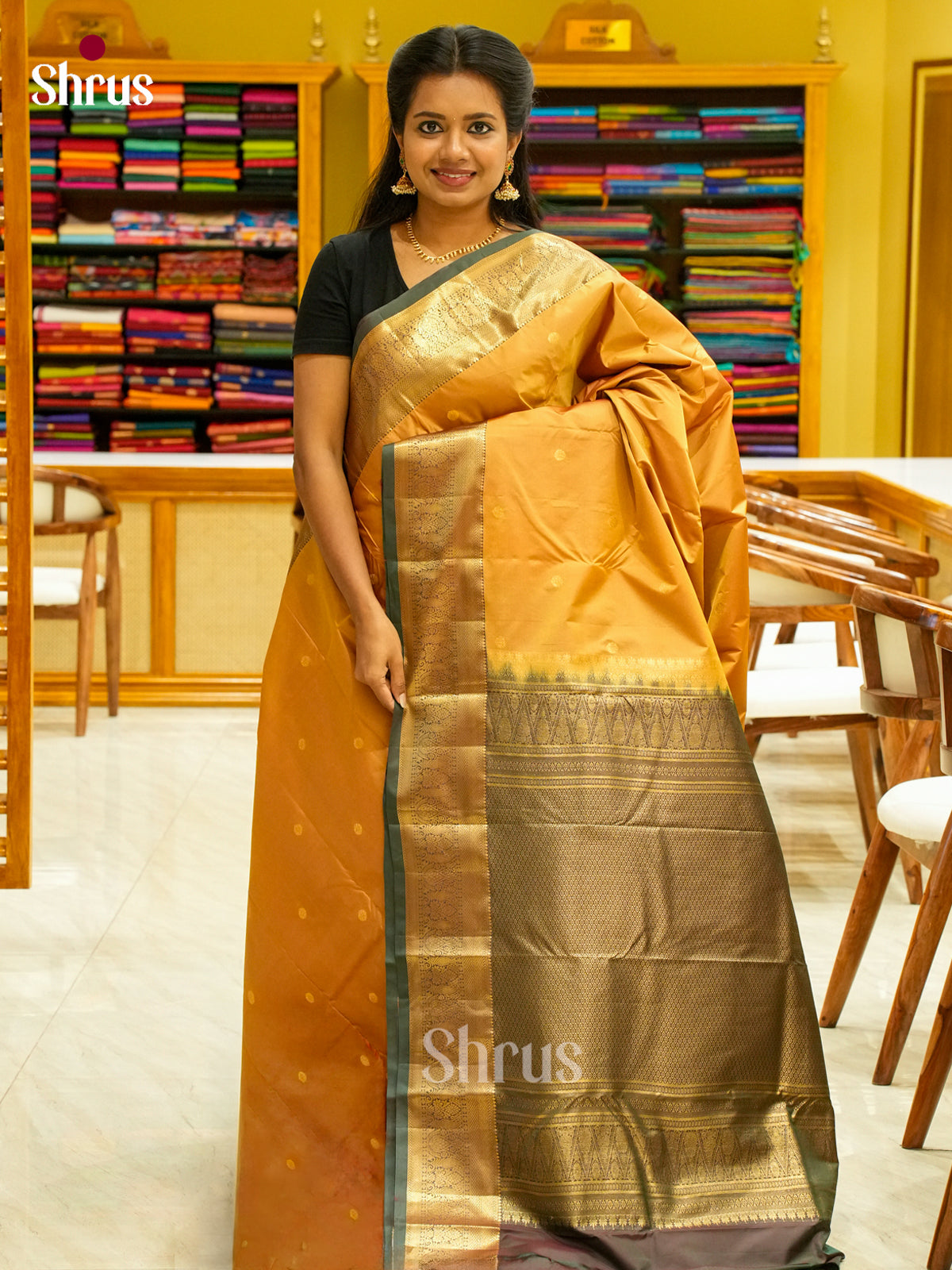 Kanchipuram-halfpure Saree - EH19028