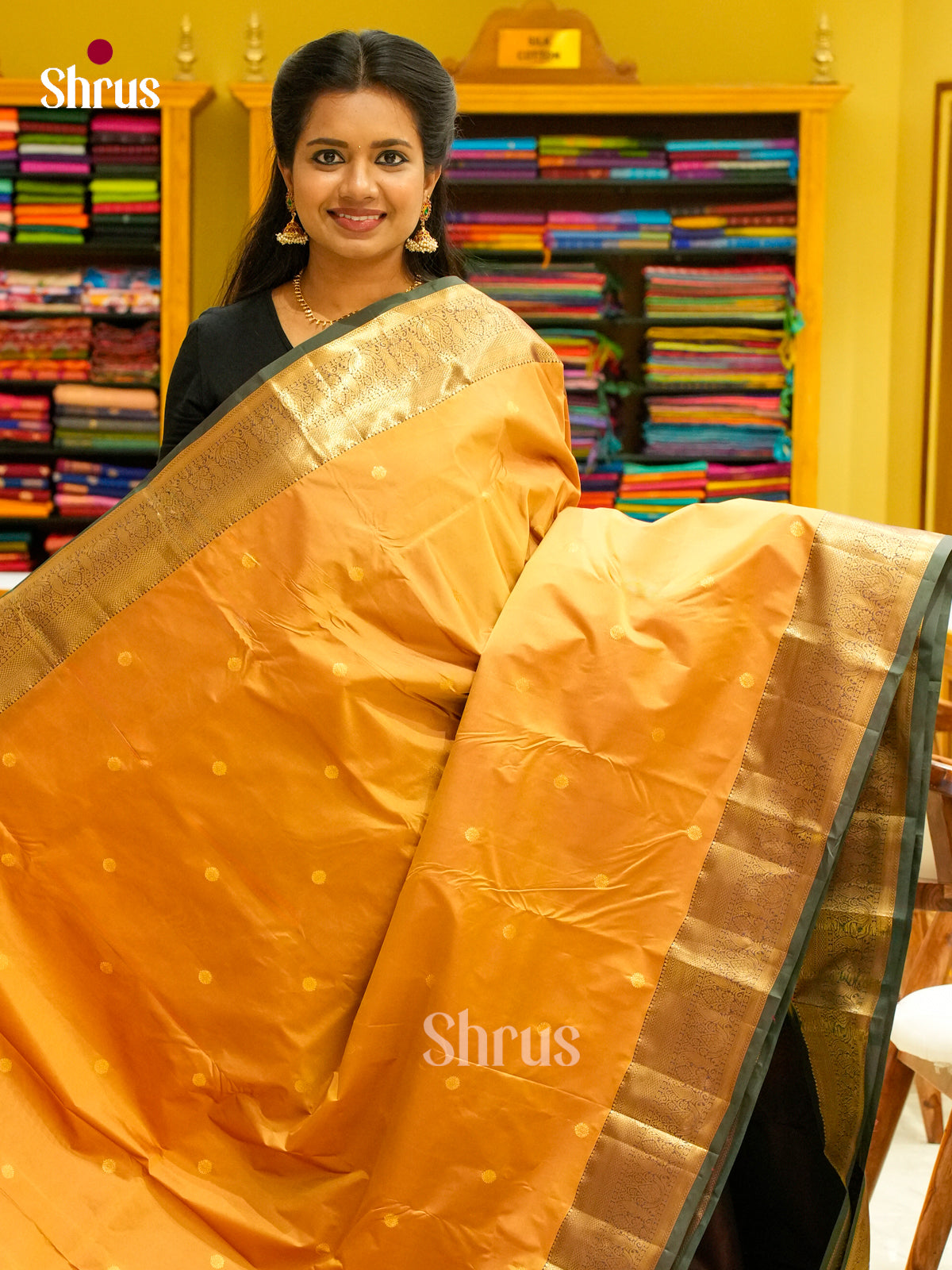 Kanchipuram-halfpure Saree - EH19028
