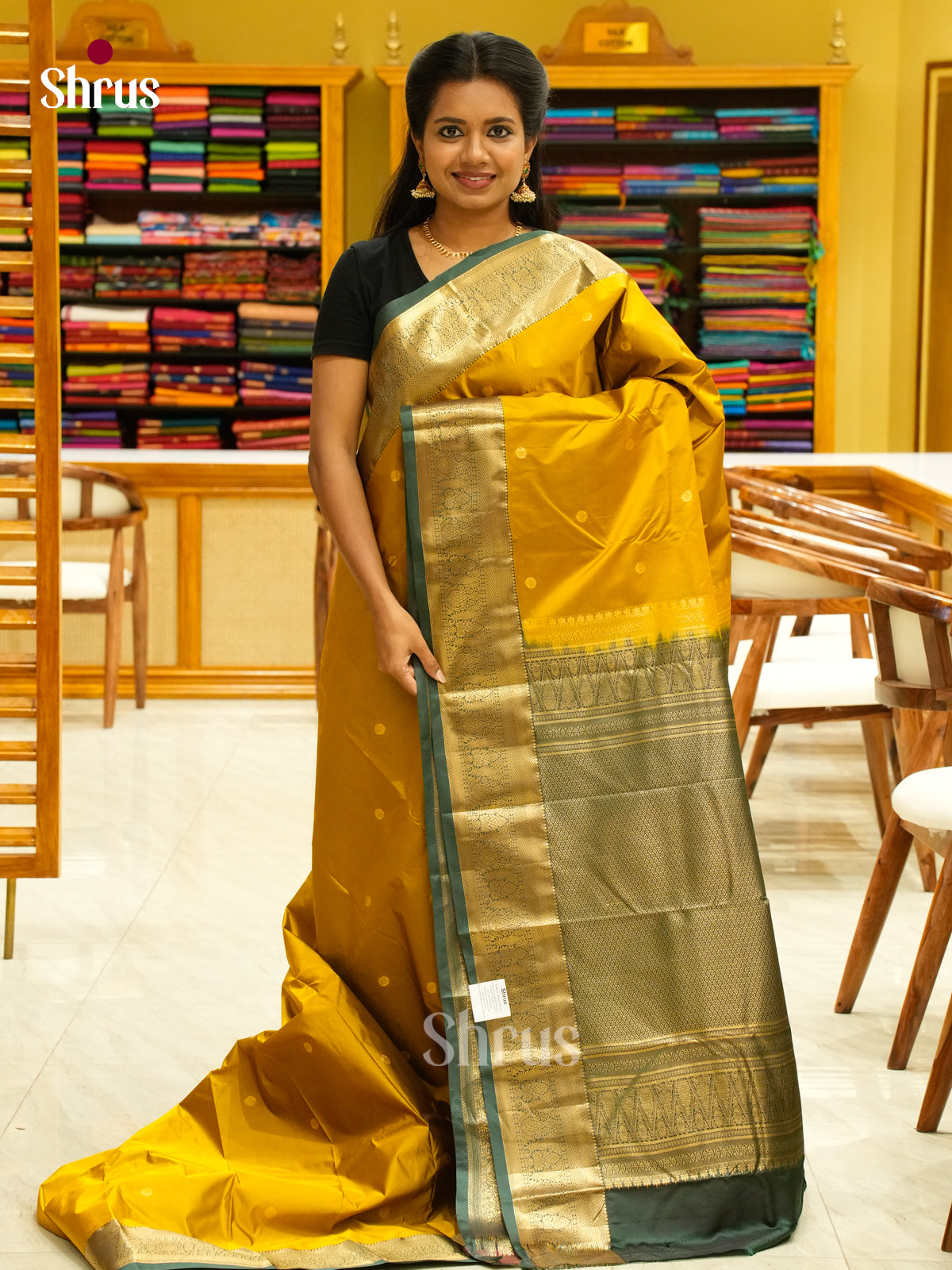 Kanchipuram-halfpure Saree - EH19034
