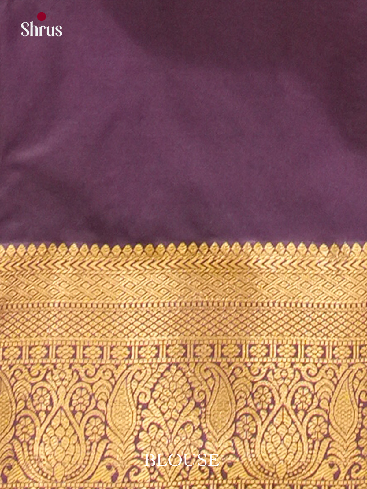 Kanchipuram-halfpure Saree - EH19039