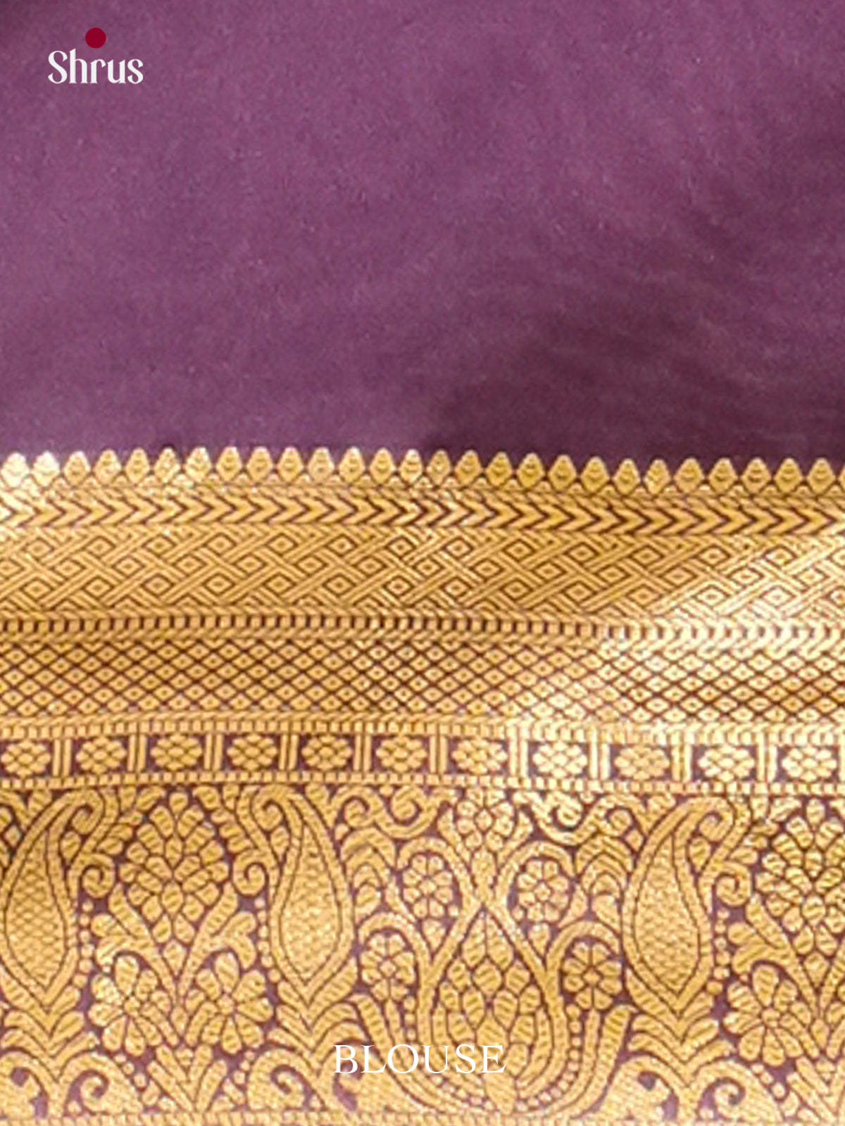 Kanchipuram-halfpure Saree - EH19043