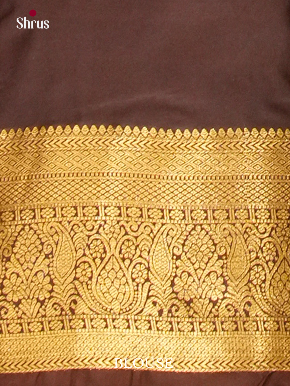 Kanchipuram-halfpure Saree - EH19045