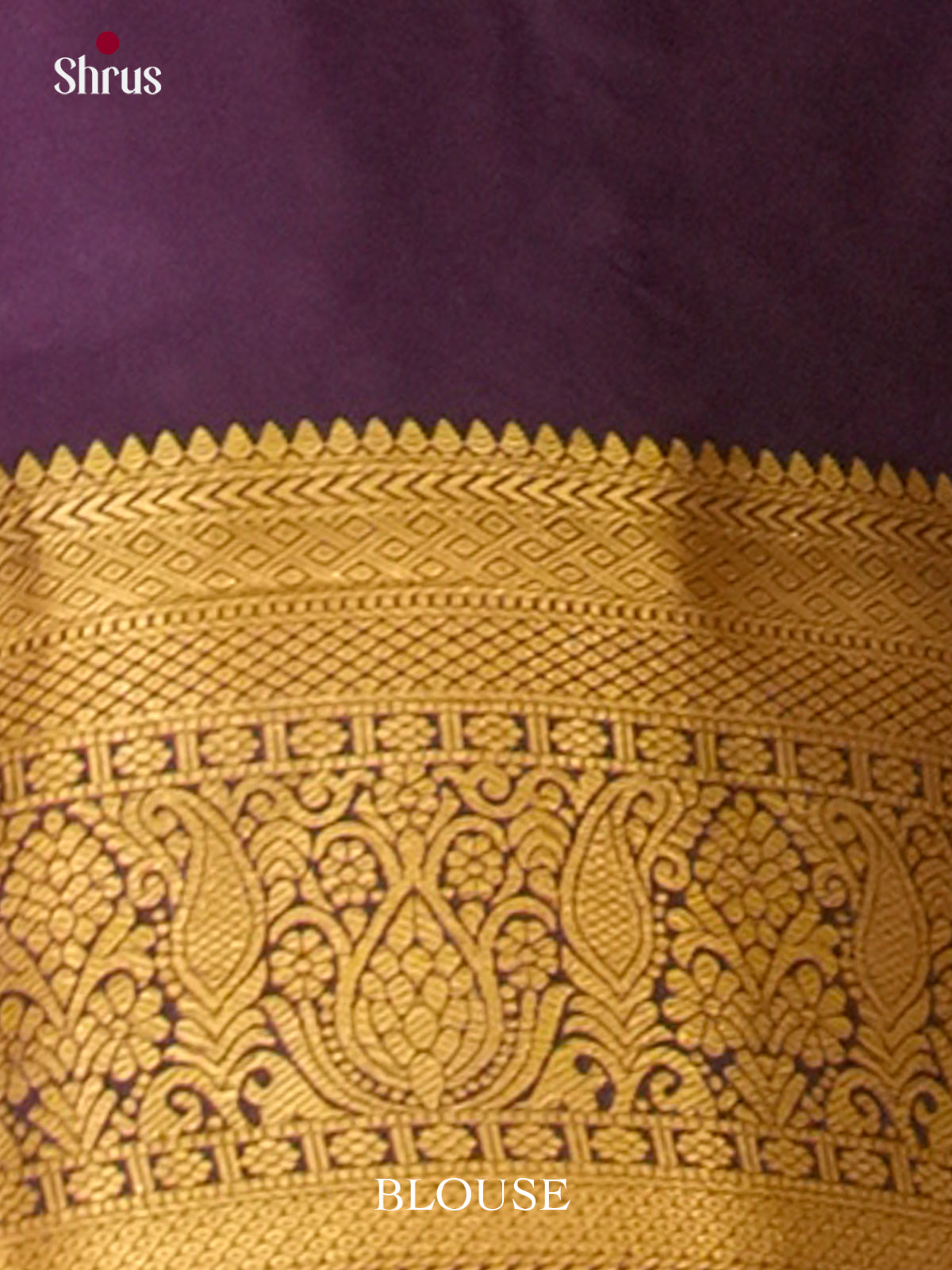 Kanchipuram-halfpure Saree - EH19046