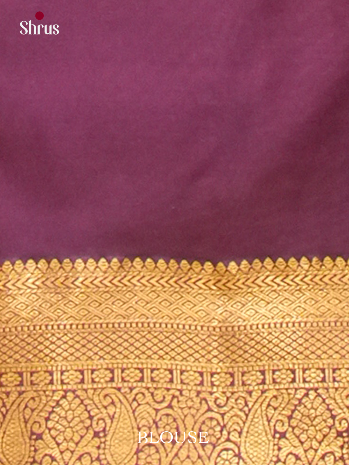 Kanchipuram-halfpure Saree - EH19049