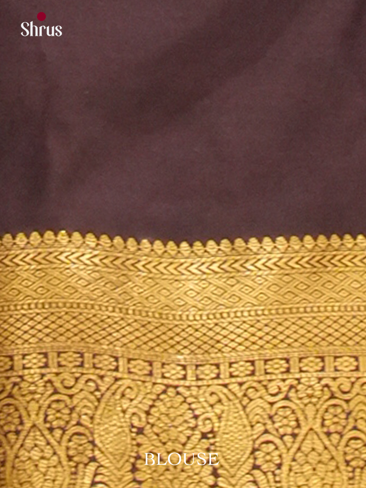 Kanchipuram-halfpure Saree - EH19053