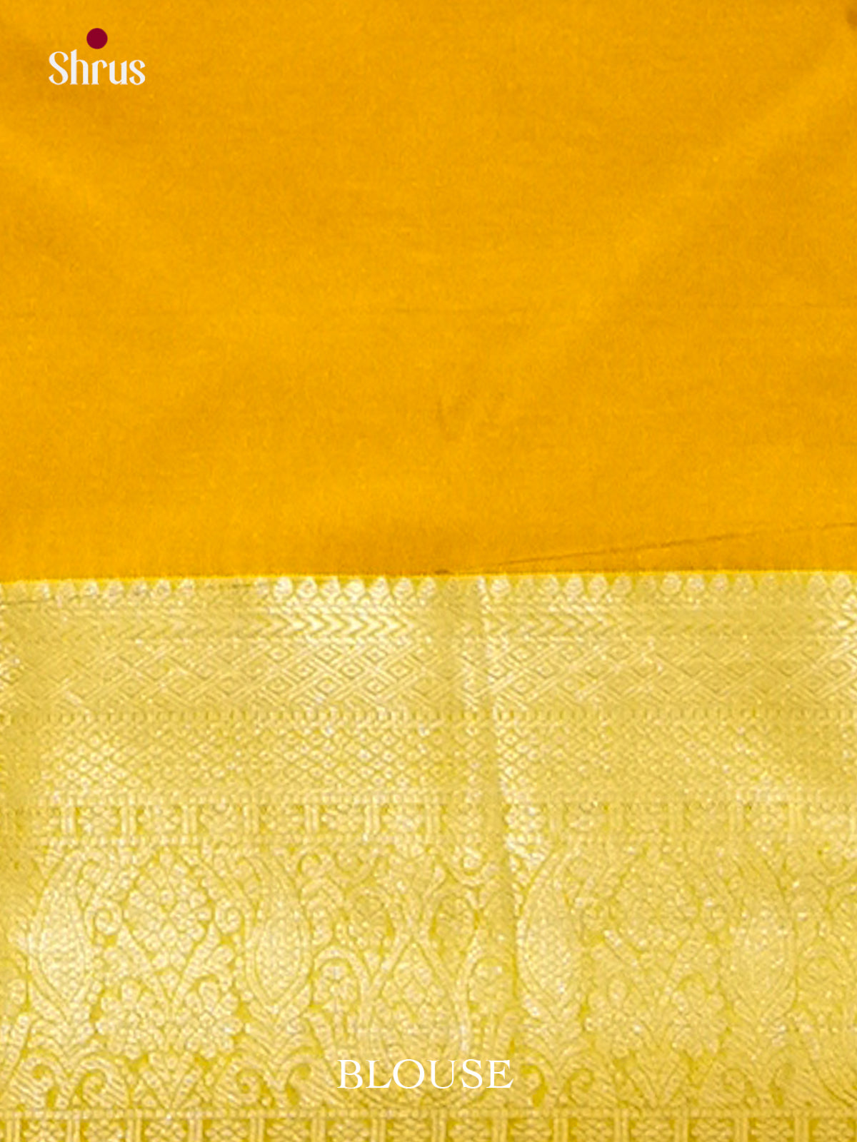 Kanchipuram-halfpure Saree - EH19054