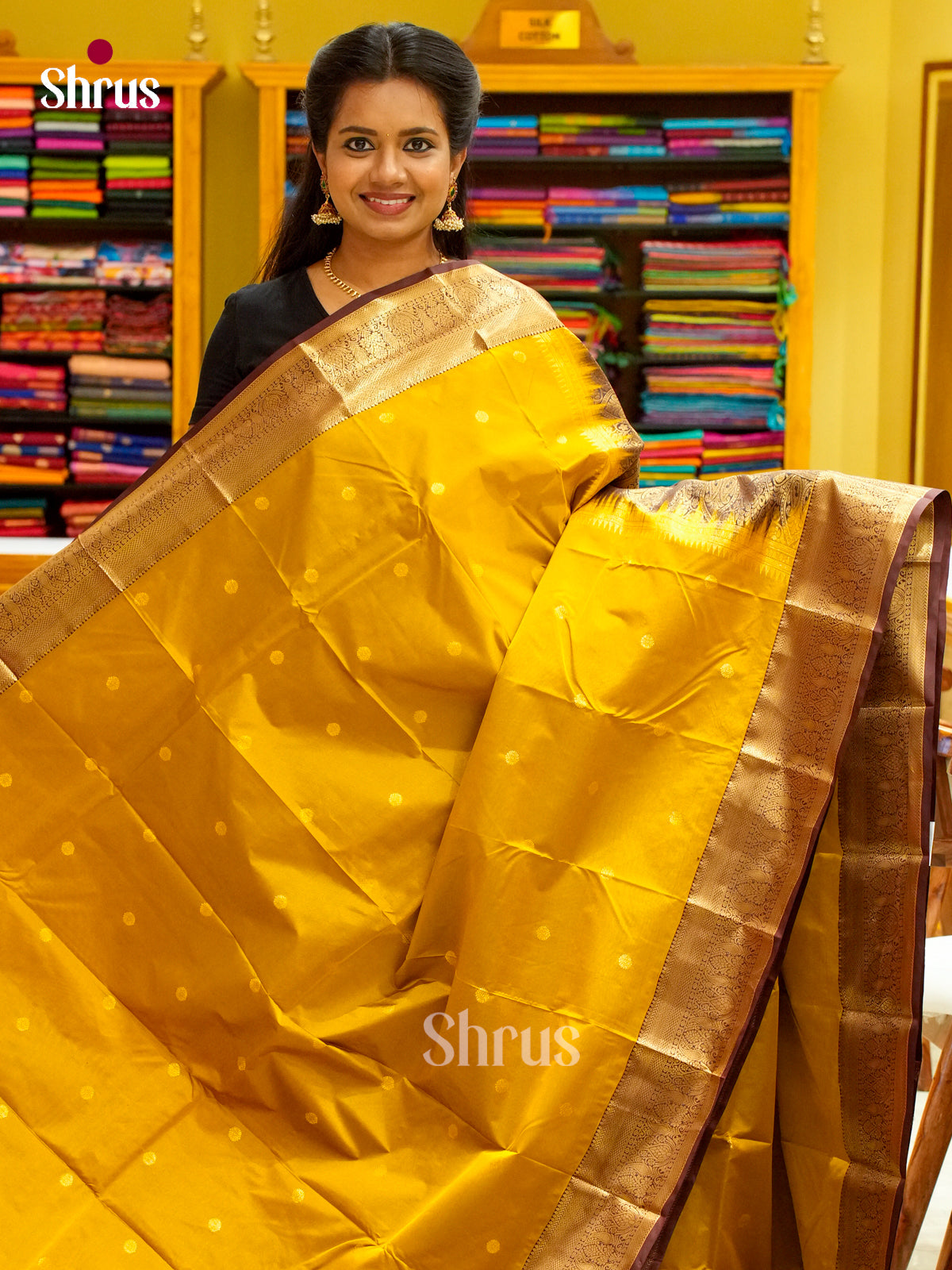 Kanchipuram-halfpure Saree - EH19059