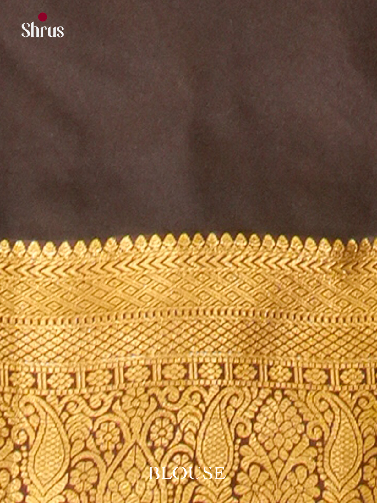 Kanchipuram-halfpure Saree - EH19059