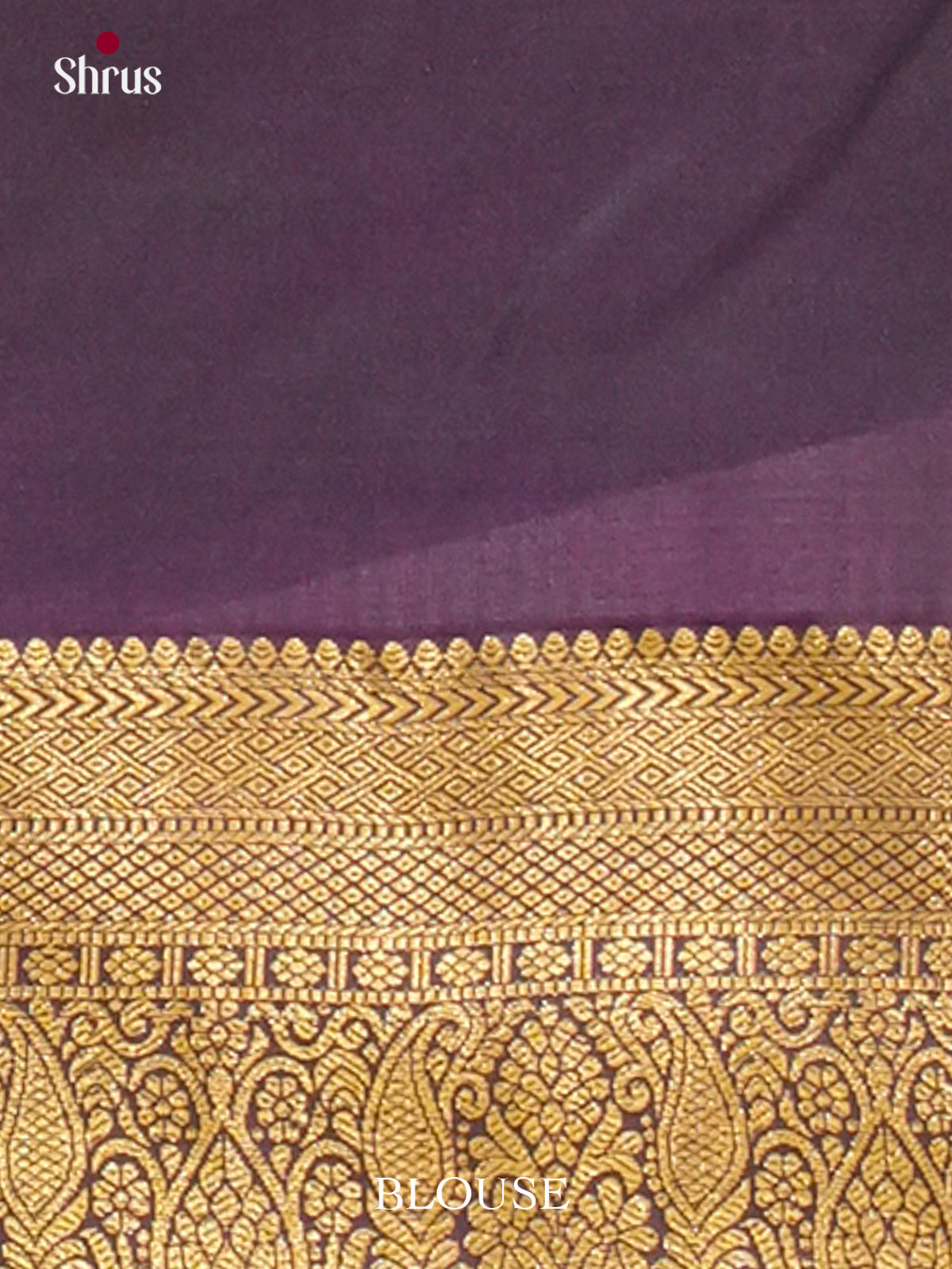 Kanchipuram-halfpure Saree - EH19067