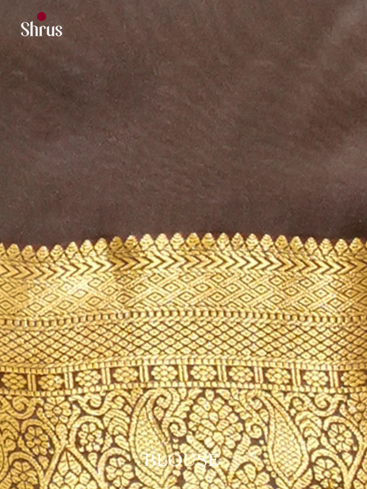 Kanchipuram-halfpure Saree - EH19069