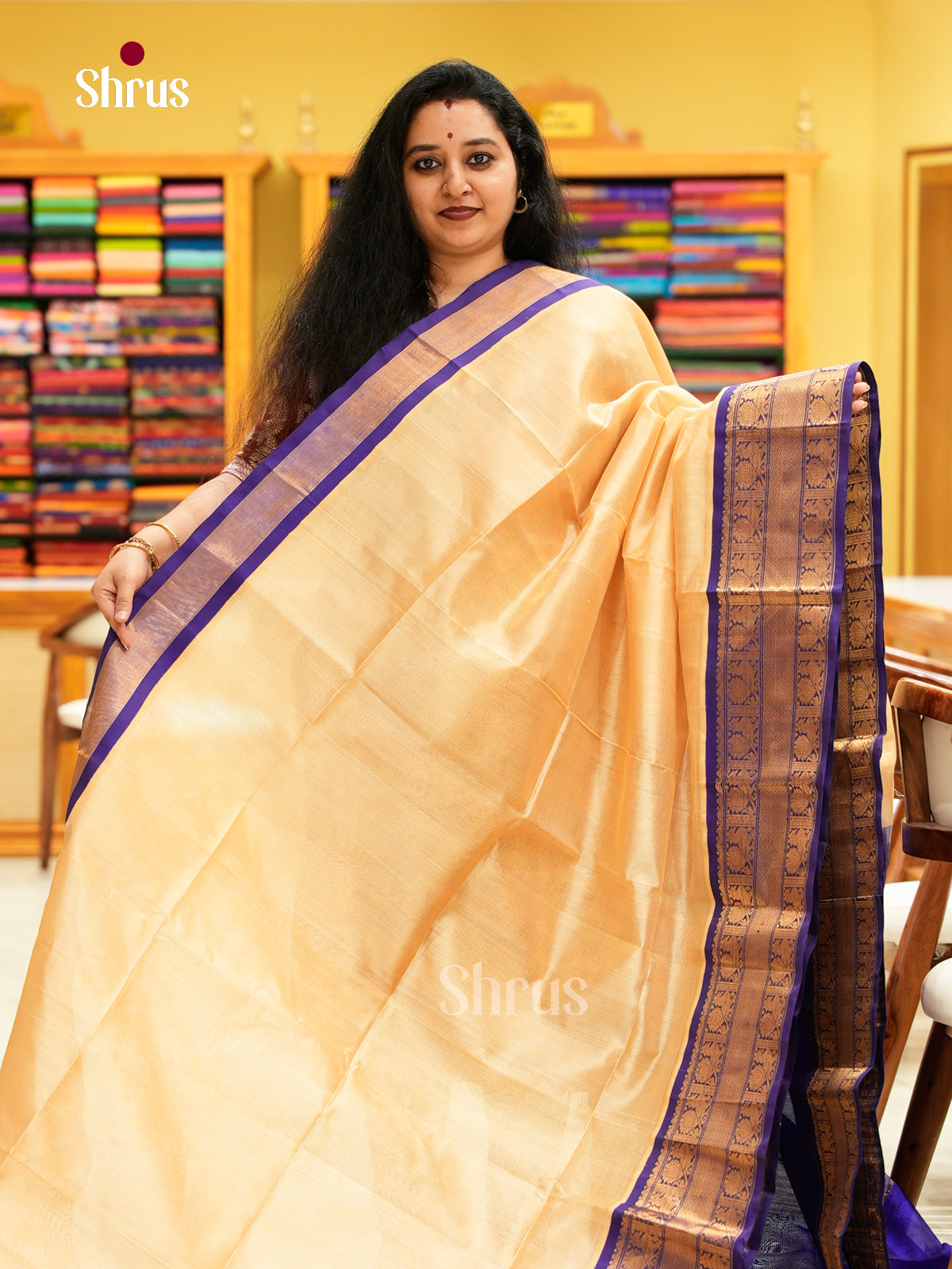 Silk Cotton Saree - EH20001