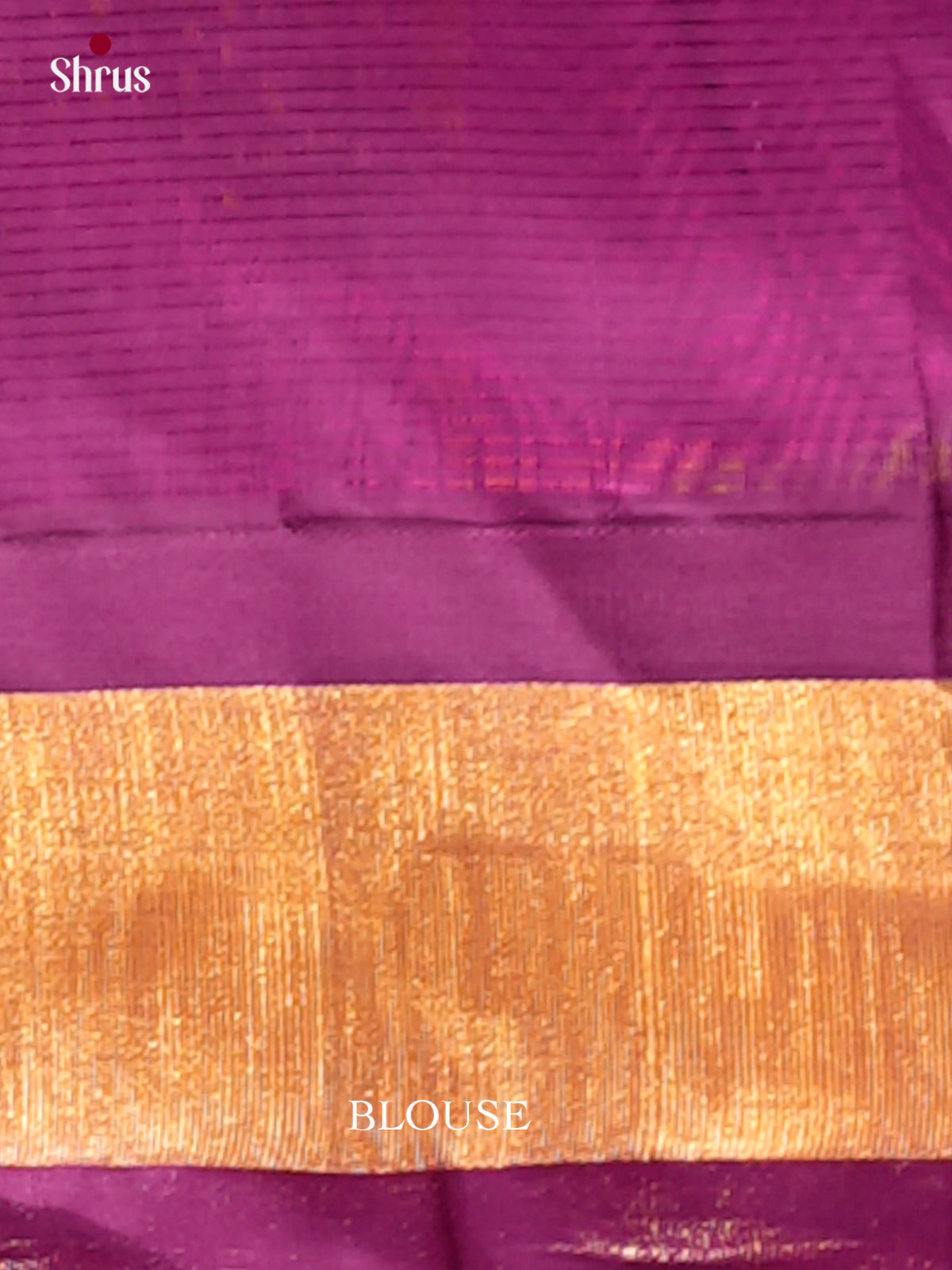 Silk Cotton Saree - EH20002
