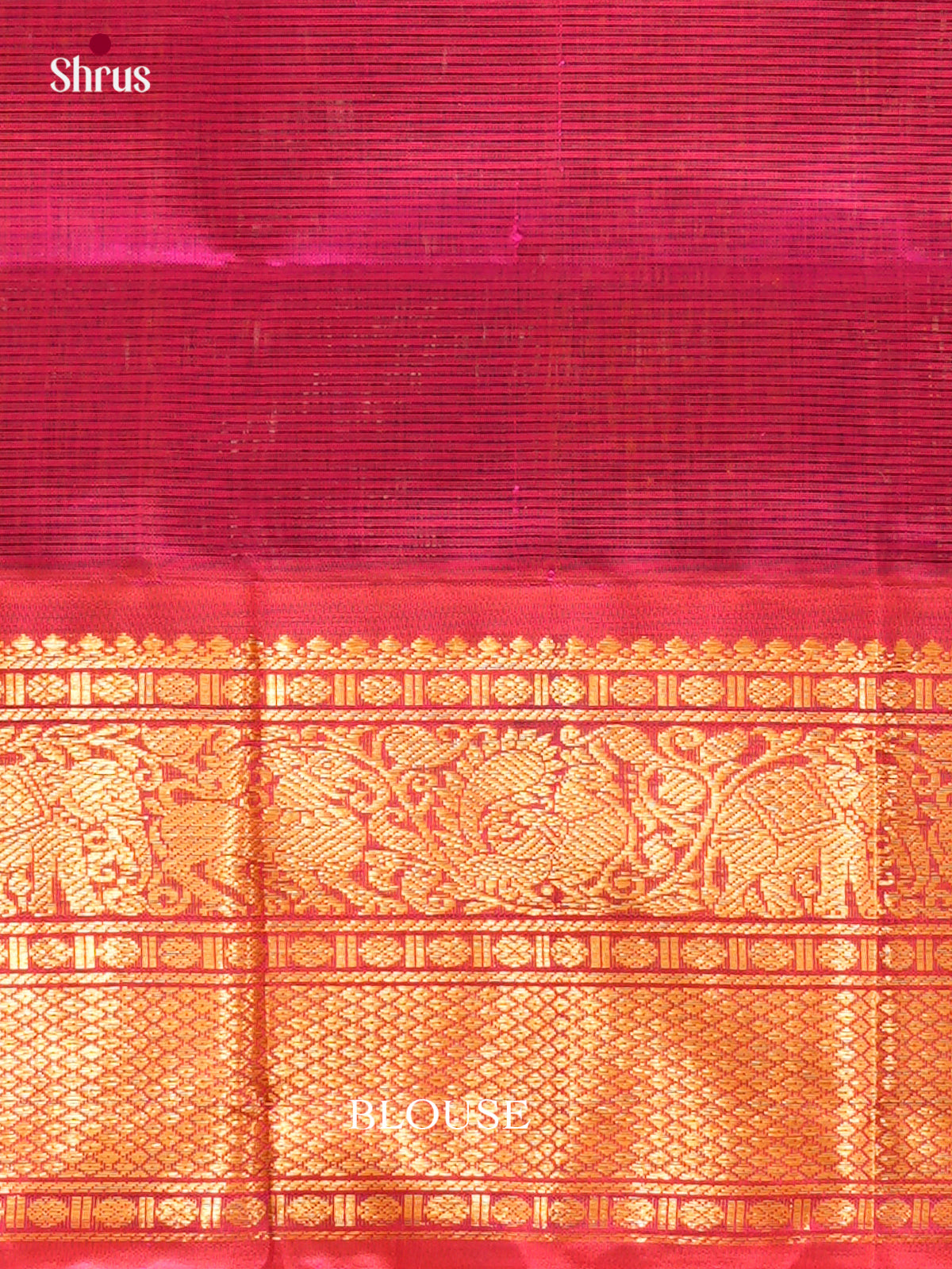 Silk Cotton Saree - EH20007