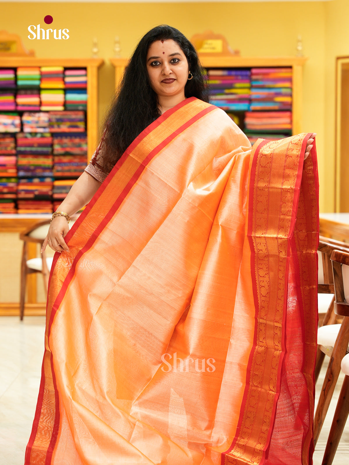 Silk Cotton Saree - EH20011