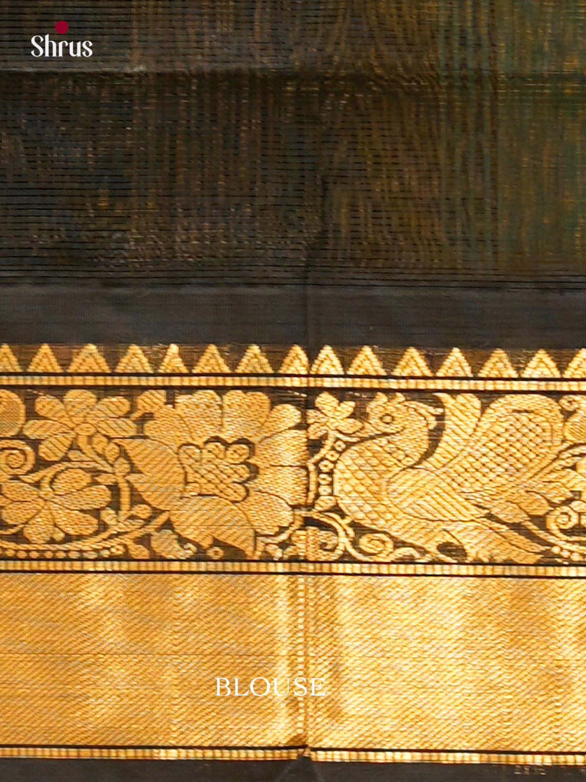 Silk Cotton Saree - EH20013