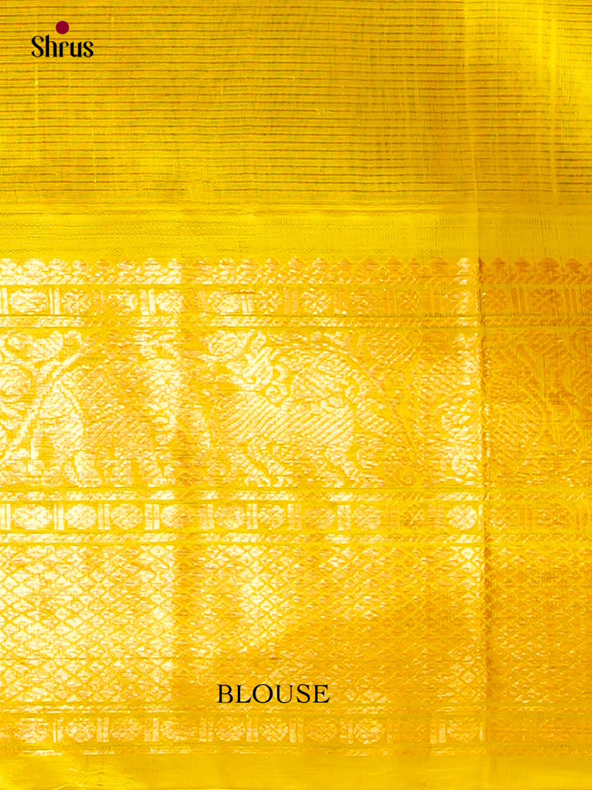 Silk Cotton Saree - EH20016