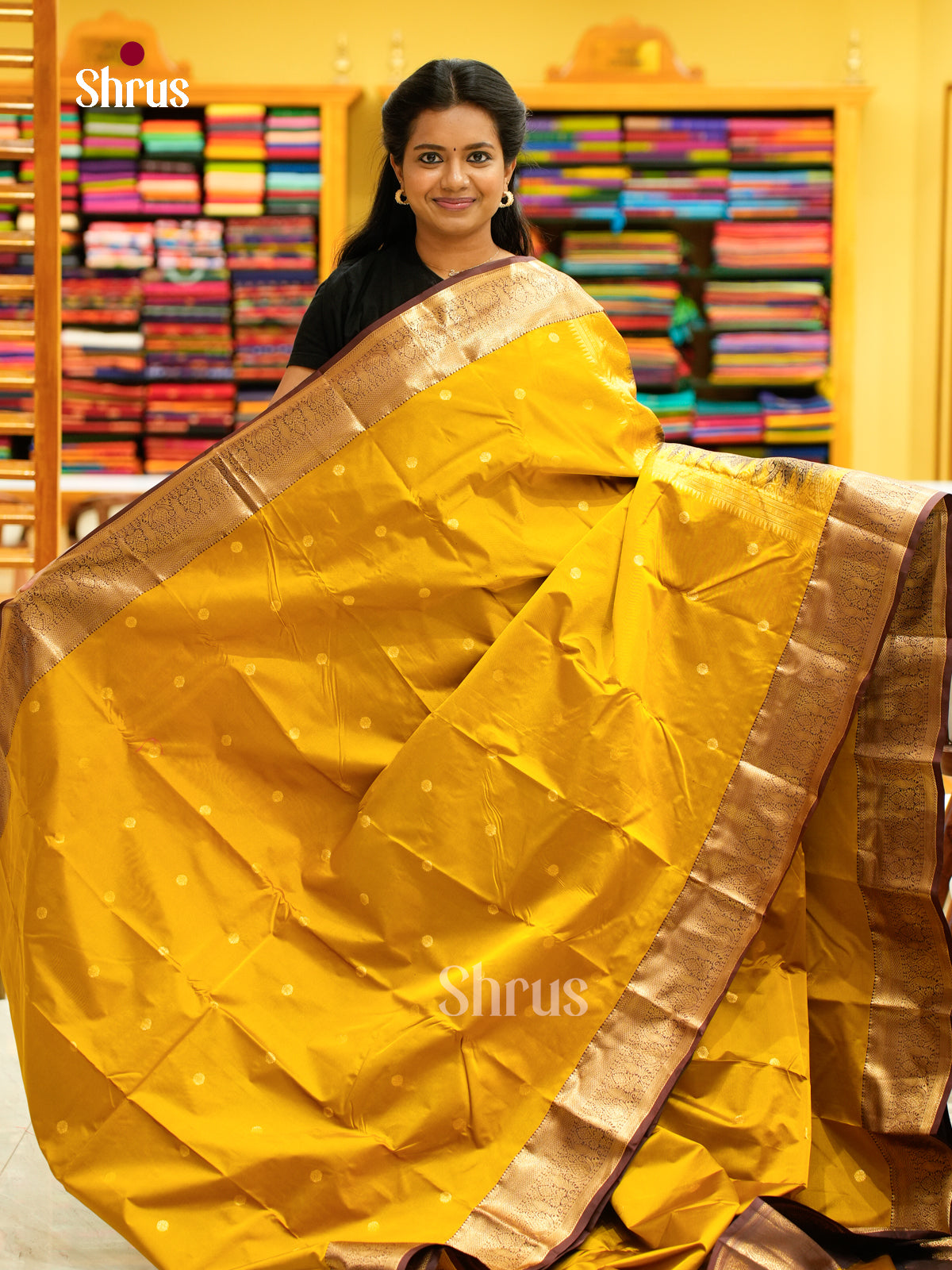 Kanchipuram halfpure Saree - EH25044