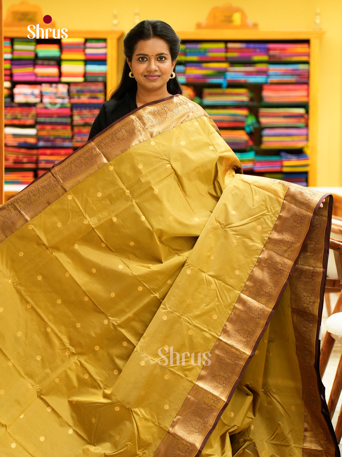 Kanchipuram halfpure Saree - EH25052