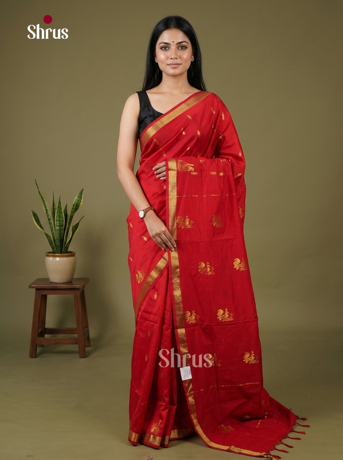 Kalyani Cotton Saree - EH26081