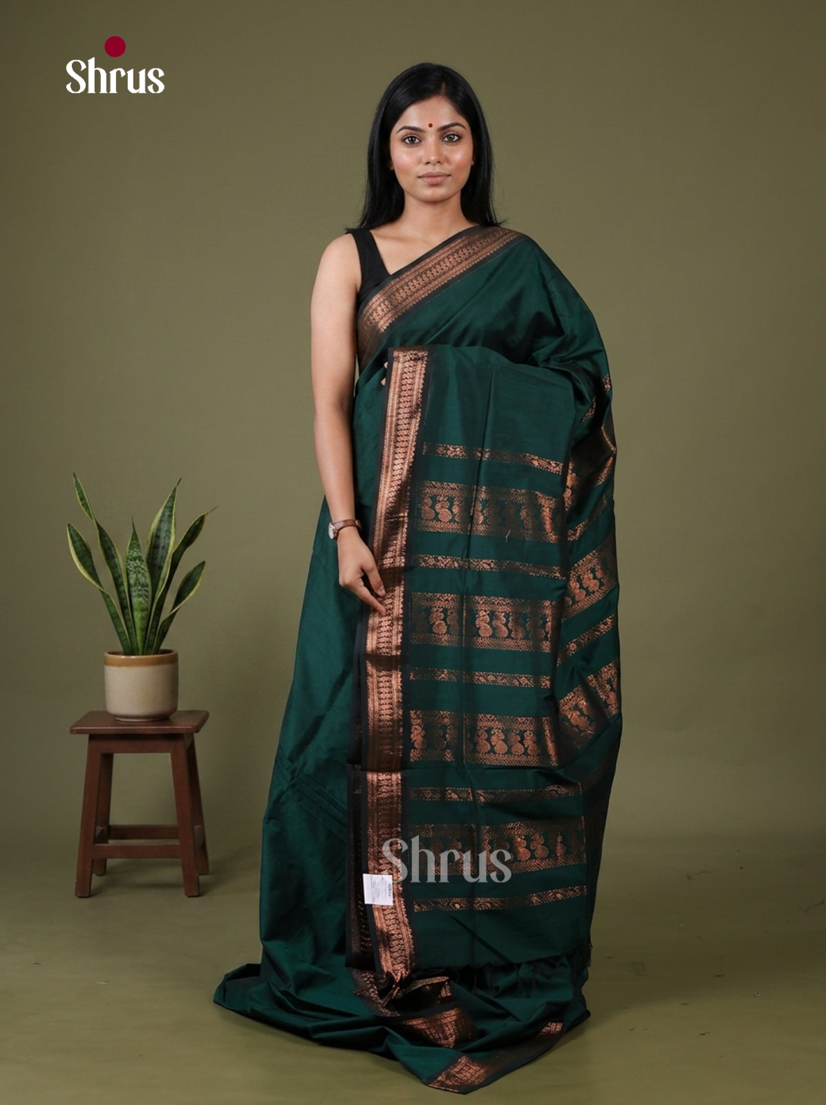 Kalyani Cotton Saree - EH26083