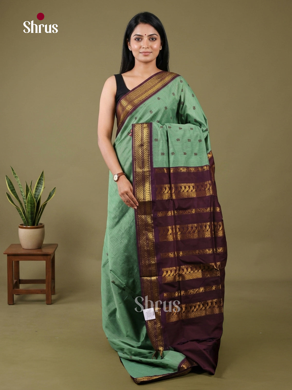 Kalyani Cotton Saree - EH26116