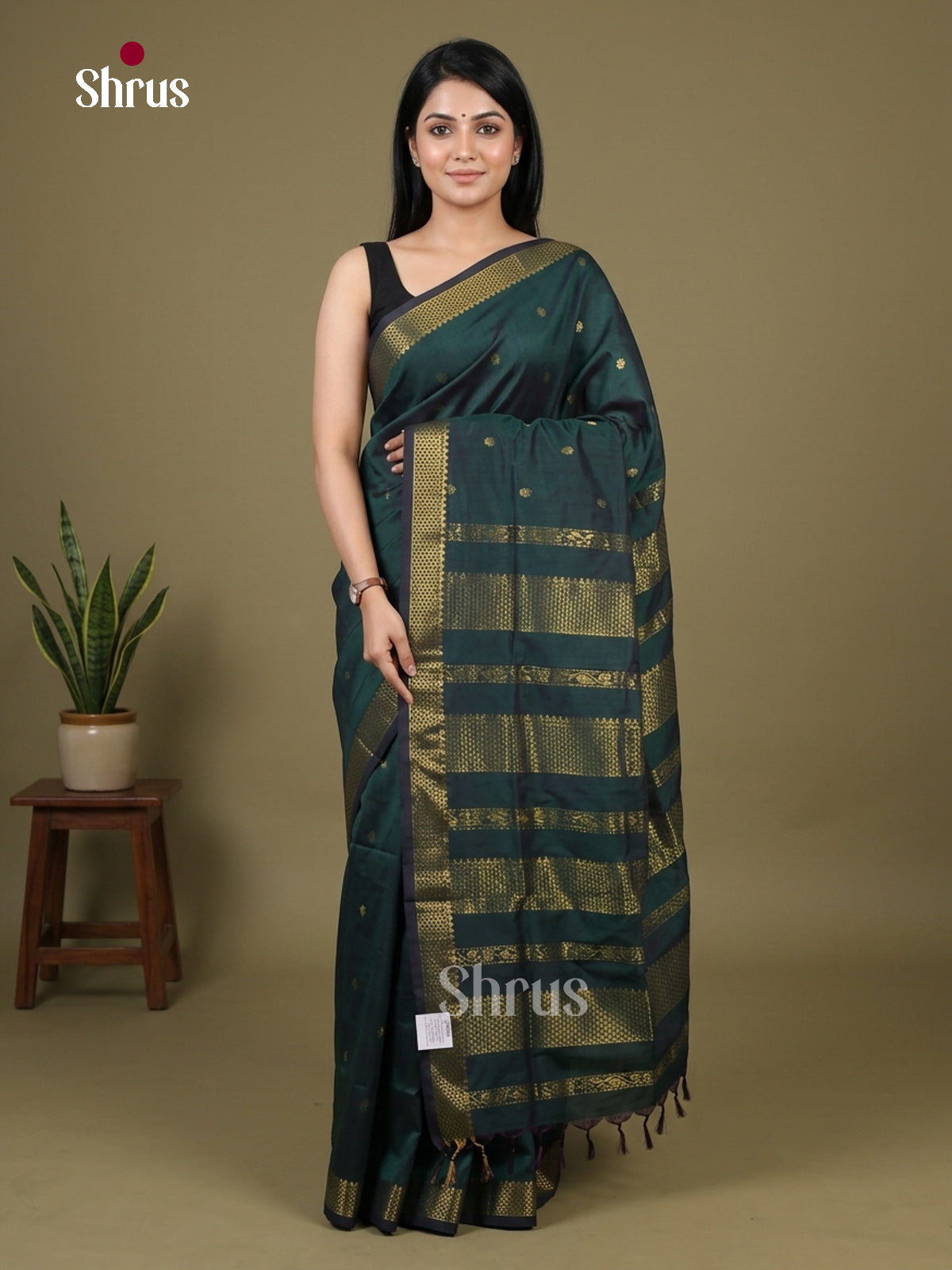 Kalyani Cotton Saree - EH26130