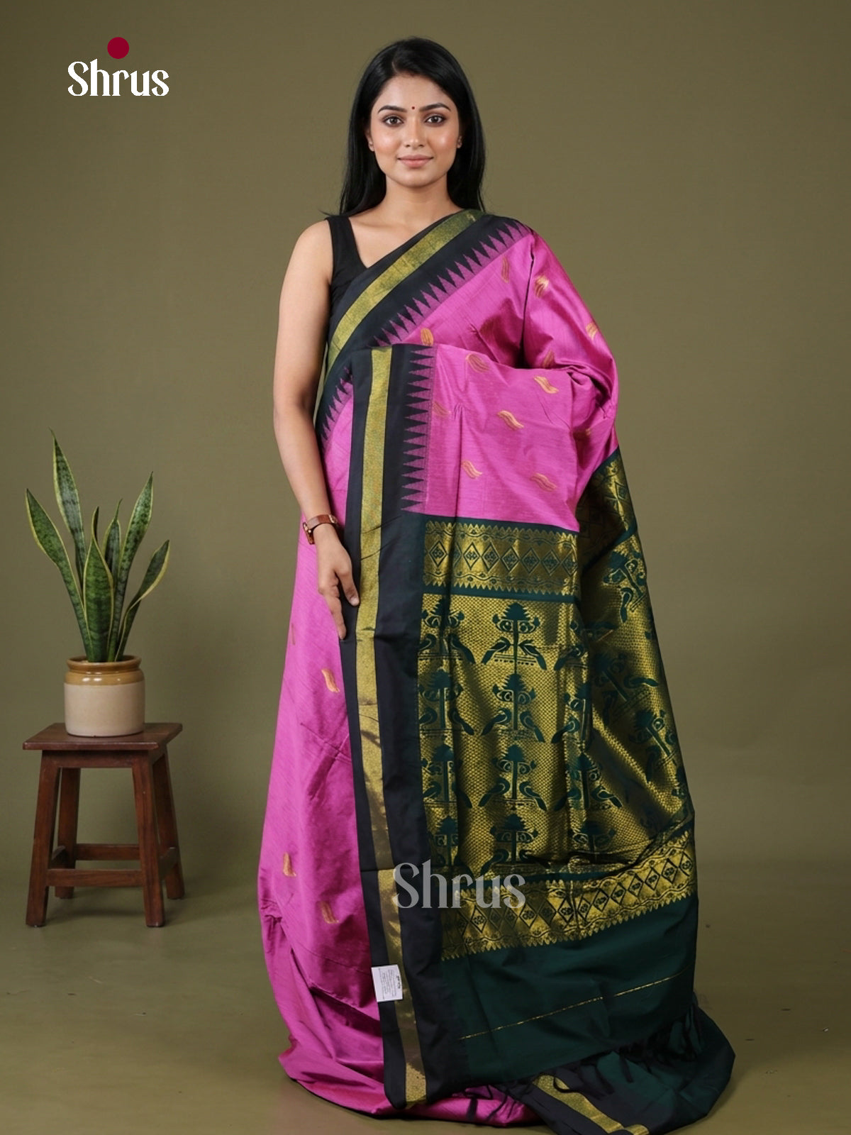 Kalyani Cotton Saree - EH26148