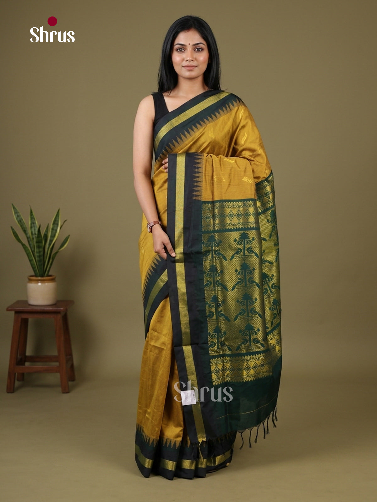 Kalyani Cotton Saree - EH26149