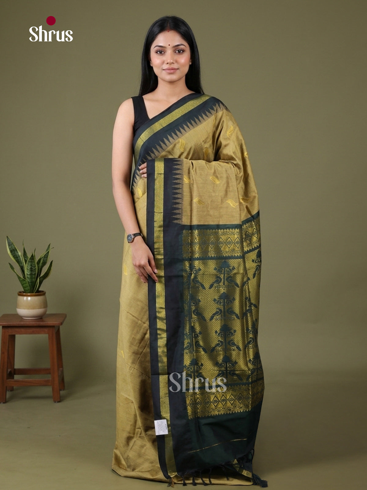 Kalyani Cotton Saree - EH26150