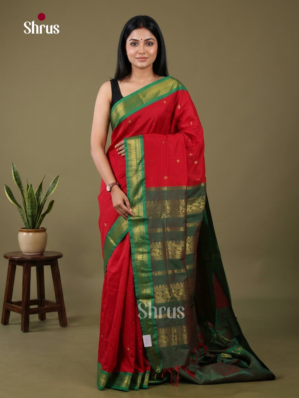 Kalyani Cotton Saree - EH26152