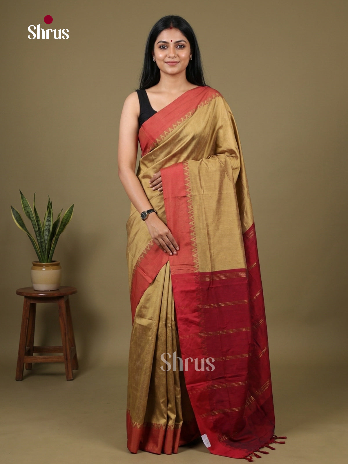 Kalyani Cotton Saree - EH26163