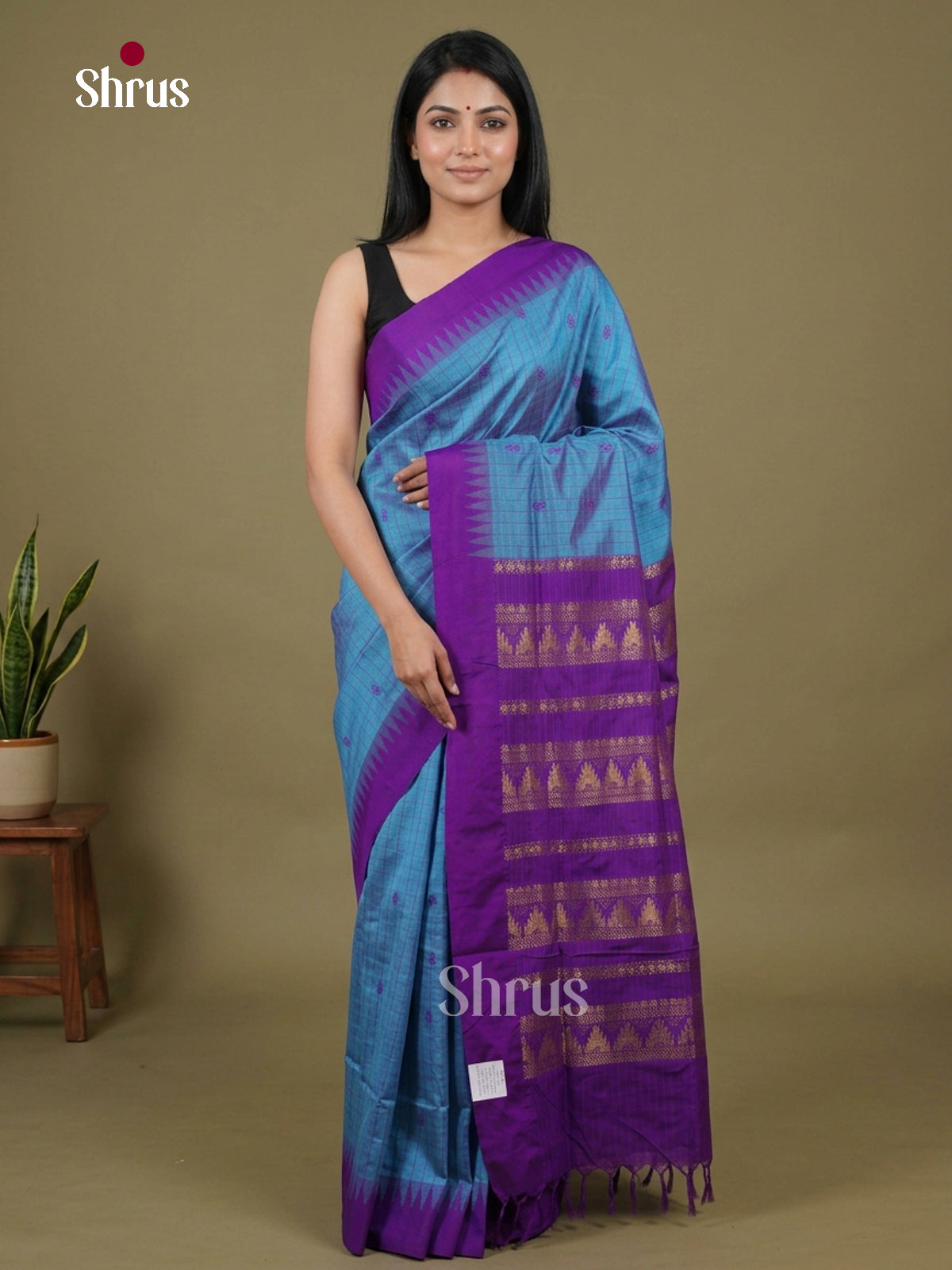Kalyani Cotton Saree - EH26180