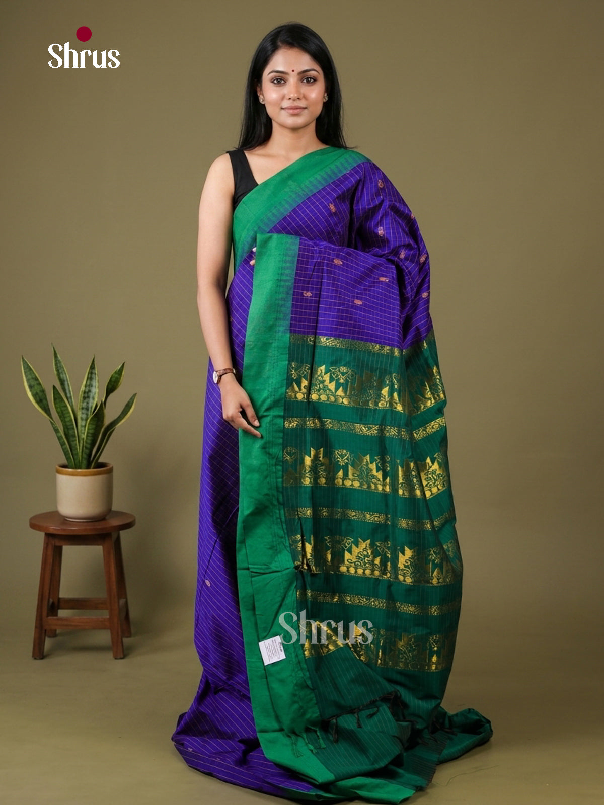 Kalyani Cotton Saree - EH26194
