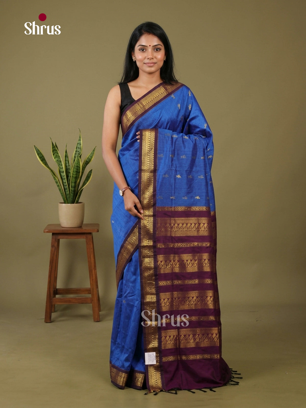 Kalyani Cotton-EH27103