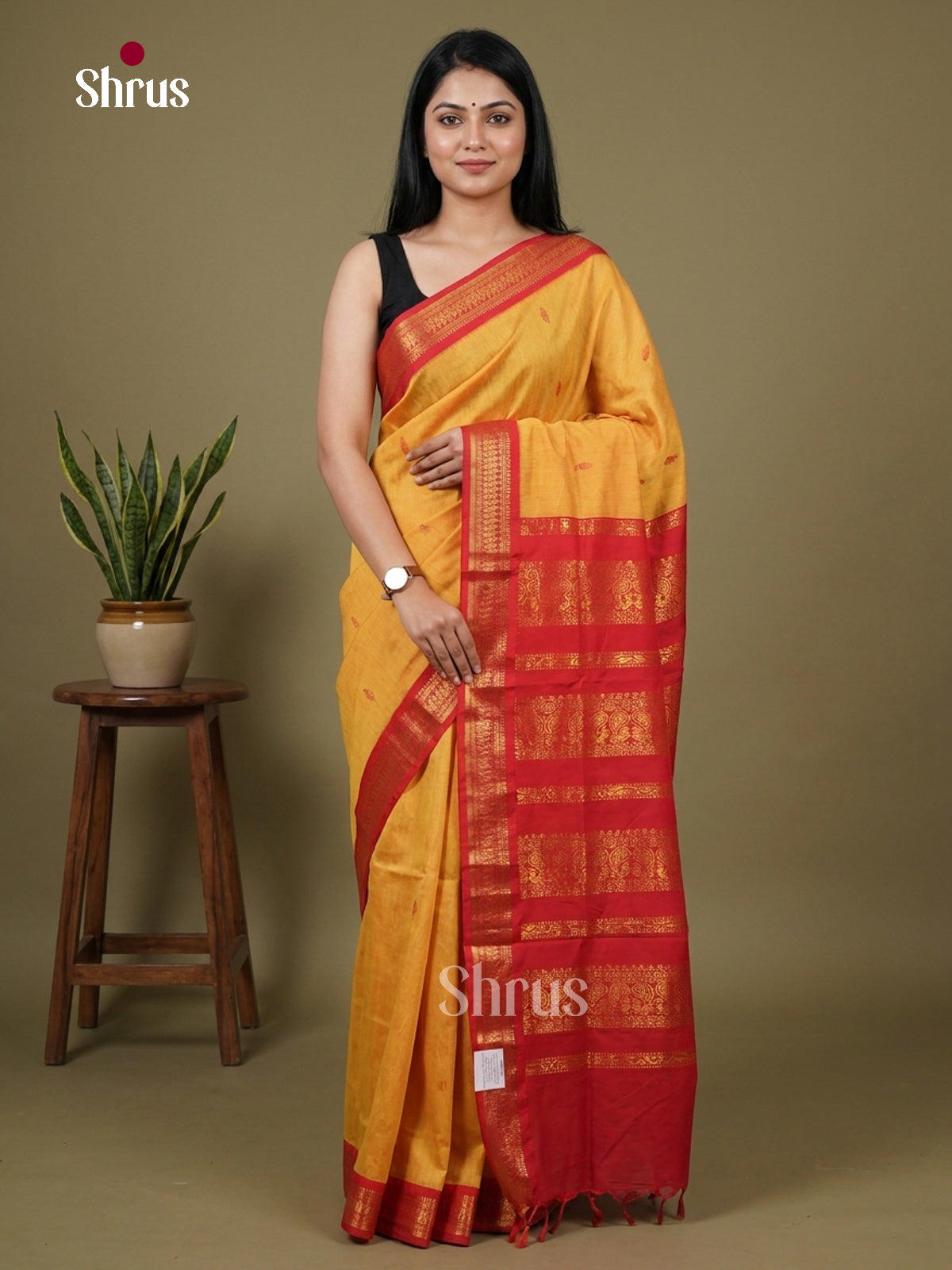 Kalyani Cotton-EH27108