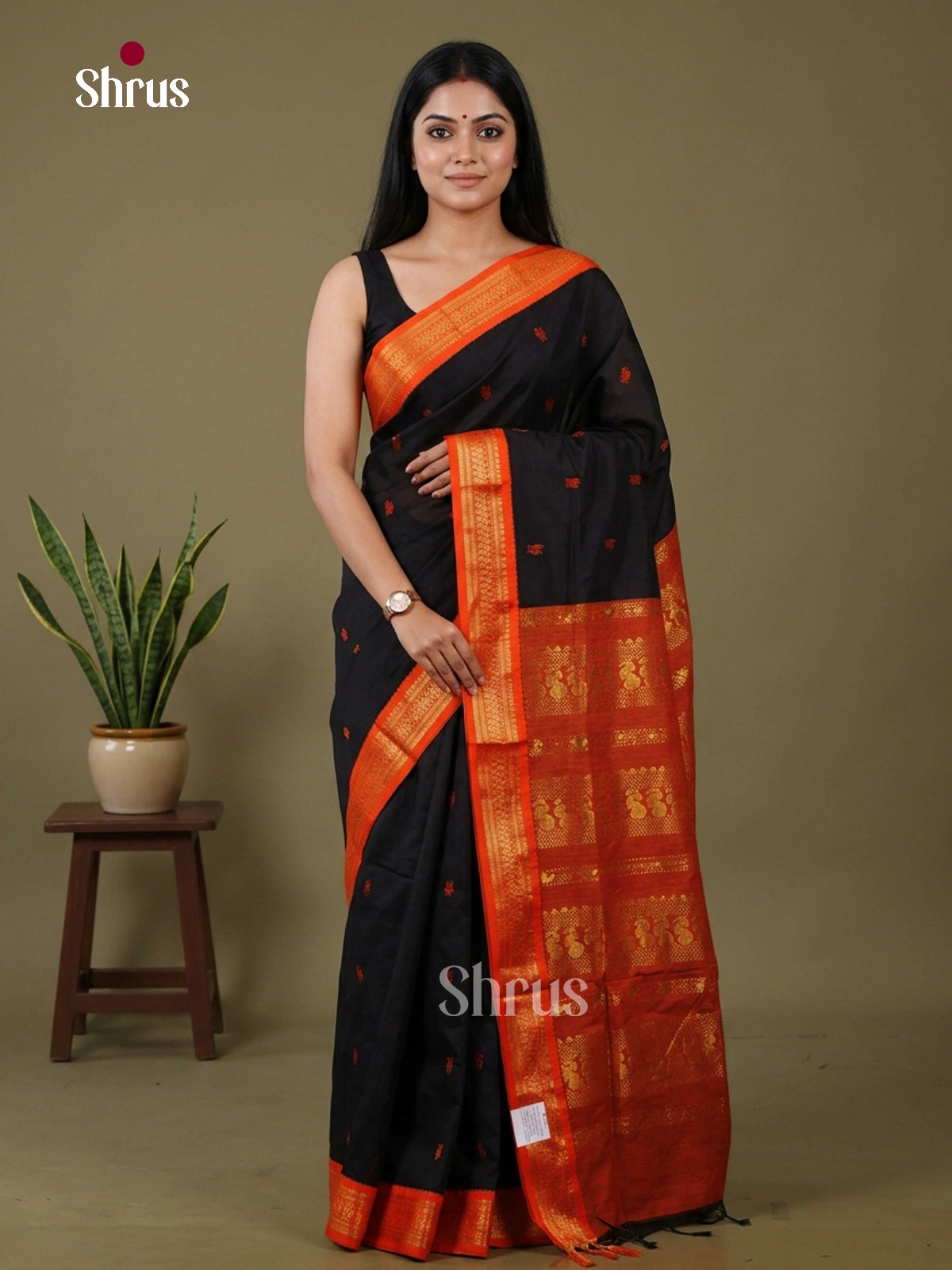 Kalyani Cotton-EH27111