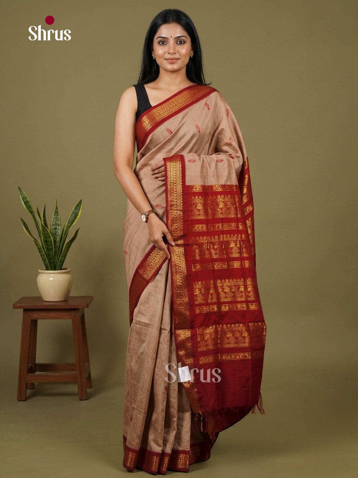 Kalyani Cotton-EH27112