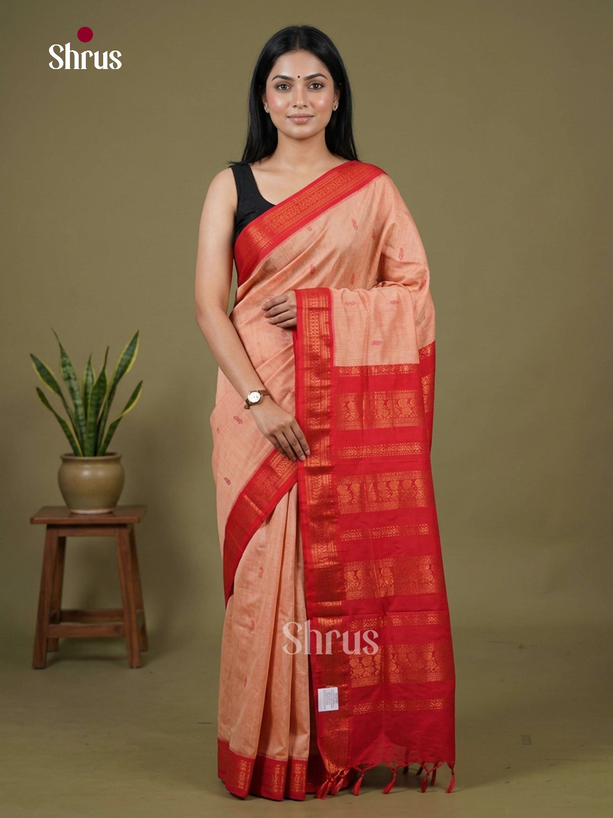 Kalyani Cotton-EH27114