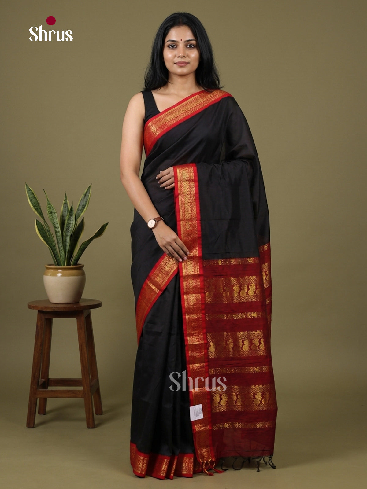 Kalyani Cotton-EH27117