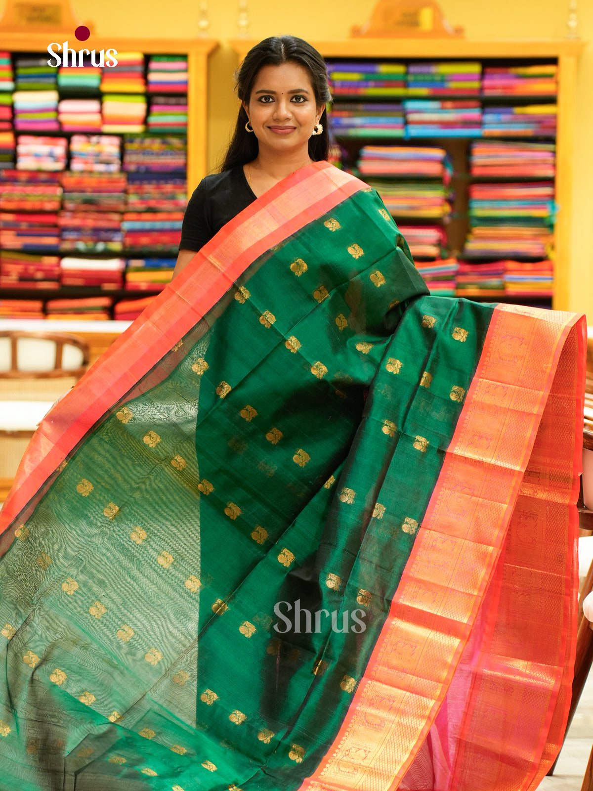 Silk Cotton Saree - EH28001