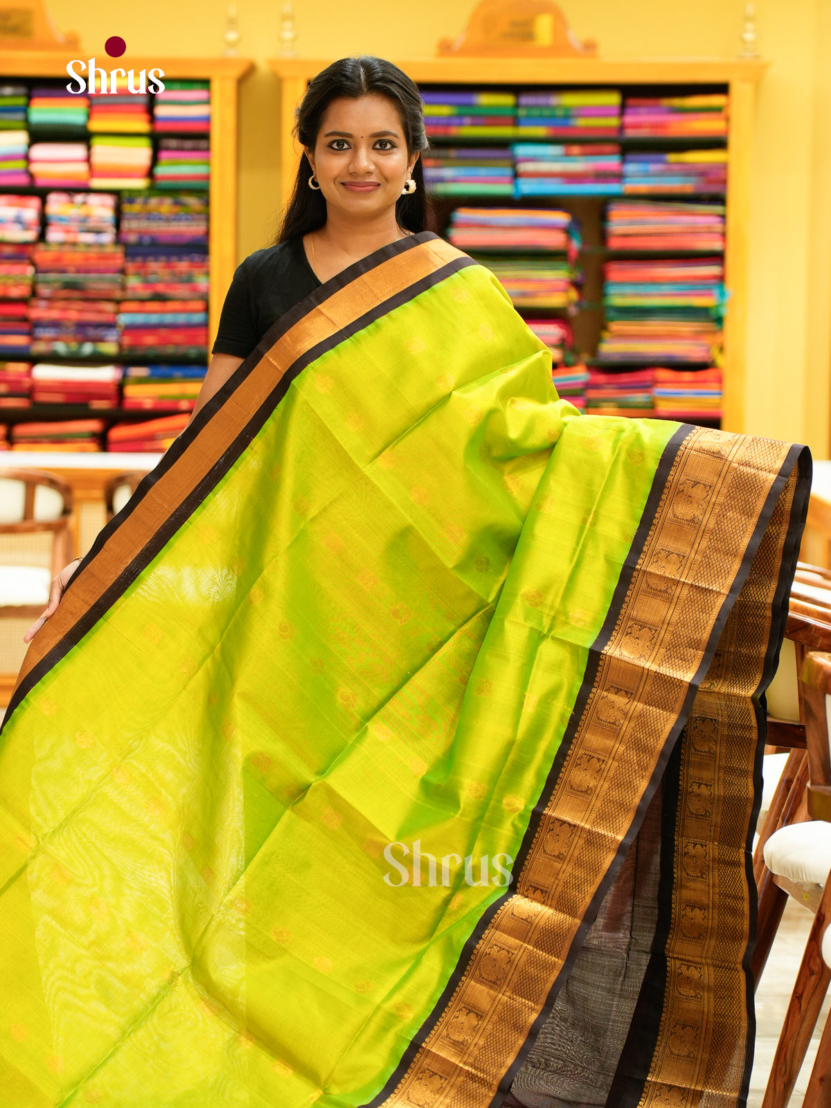 Silk Cotton Saree - EH28003