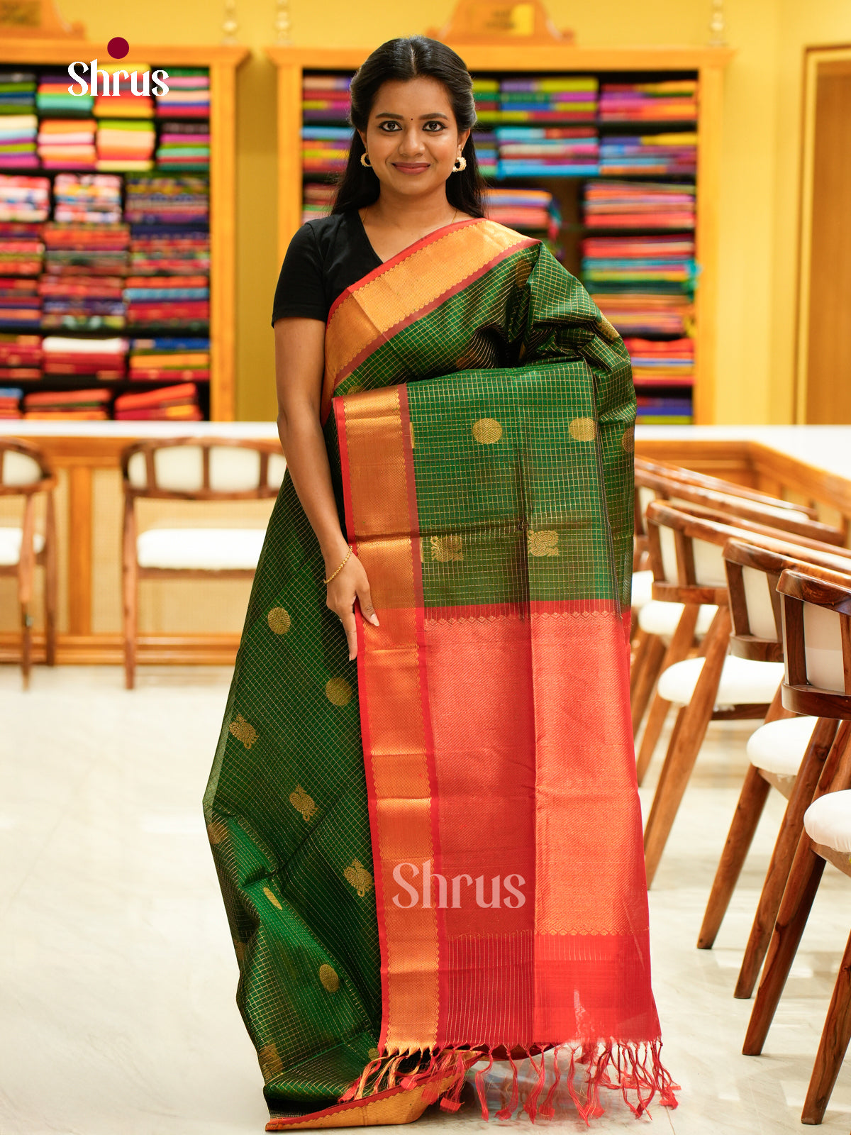 Silk Cotton Saree - EH28023