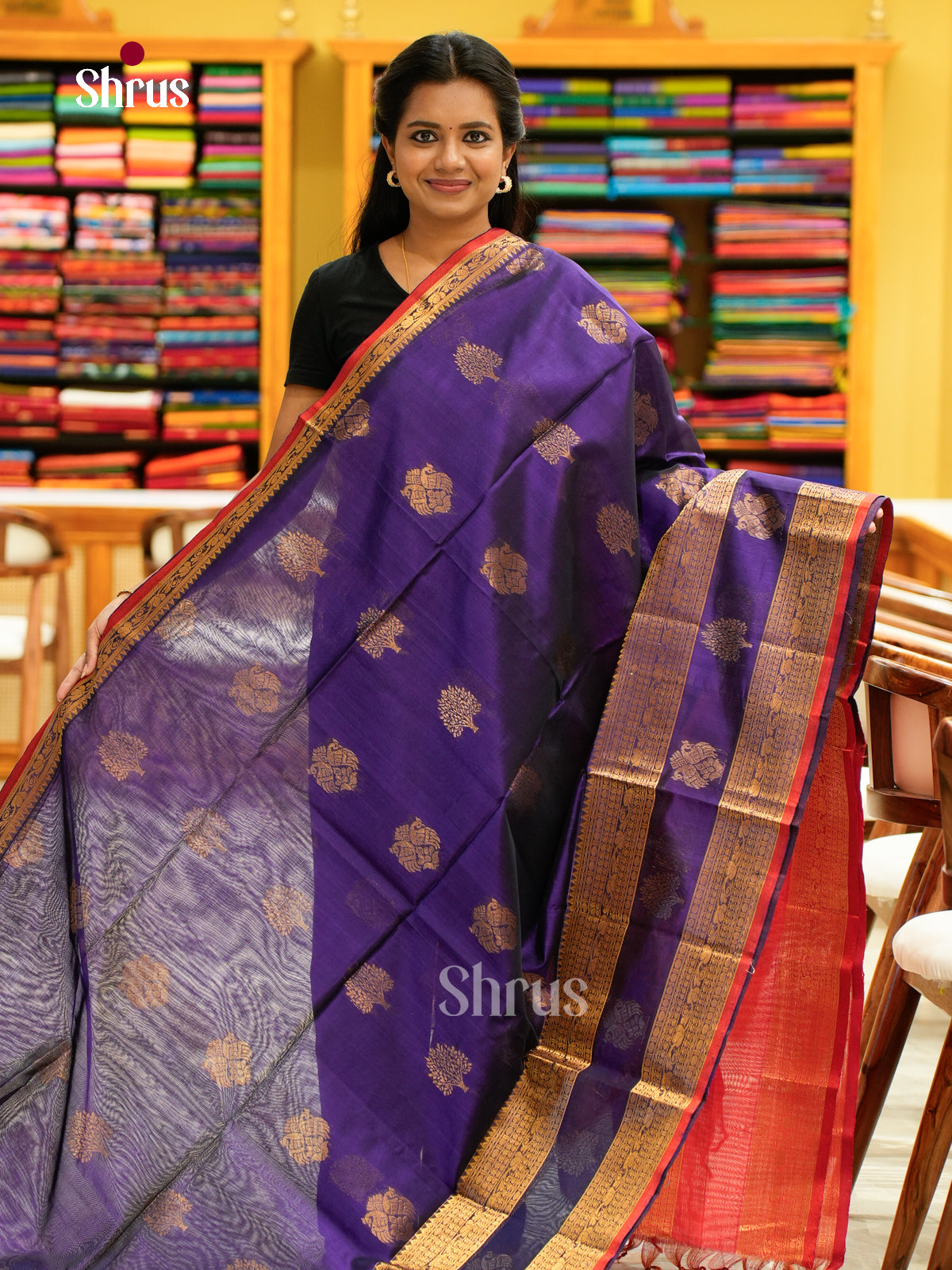 Silk Cotton Saree - EH28071