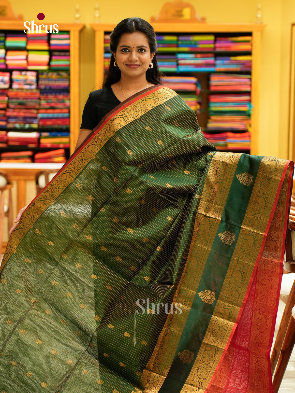 Silk Cotton Saree - EH28118