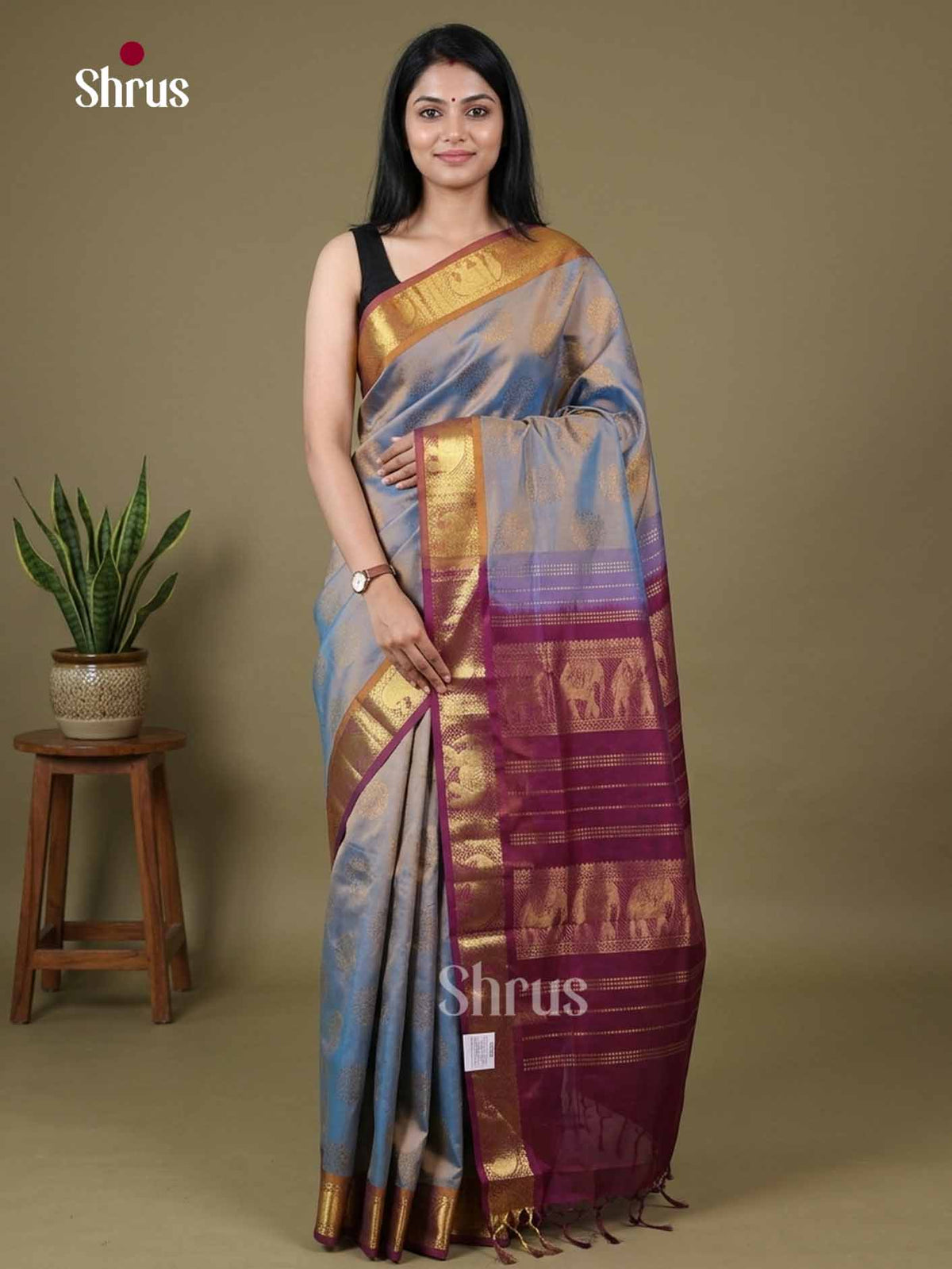 Silk Cotton Saree - EI01009