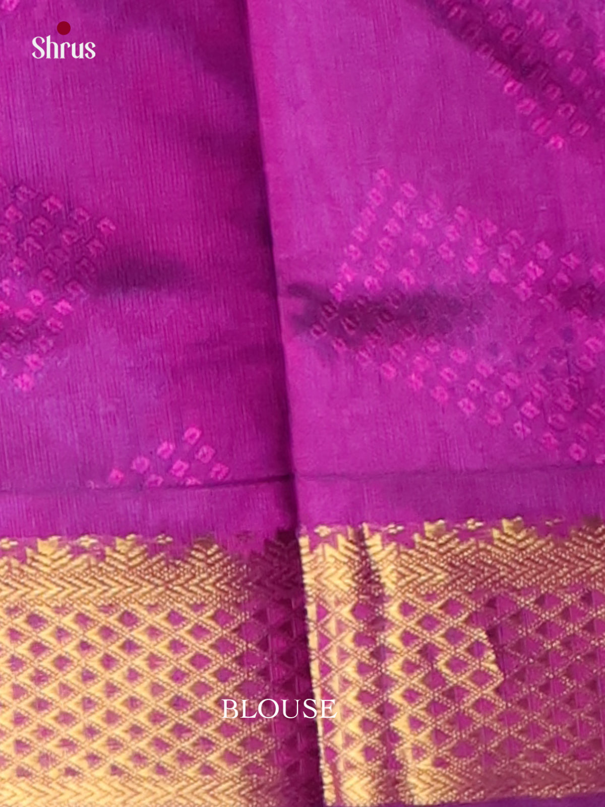 Silk Cotton Saree - EI01011