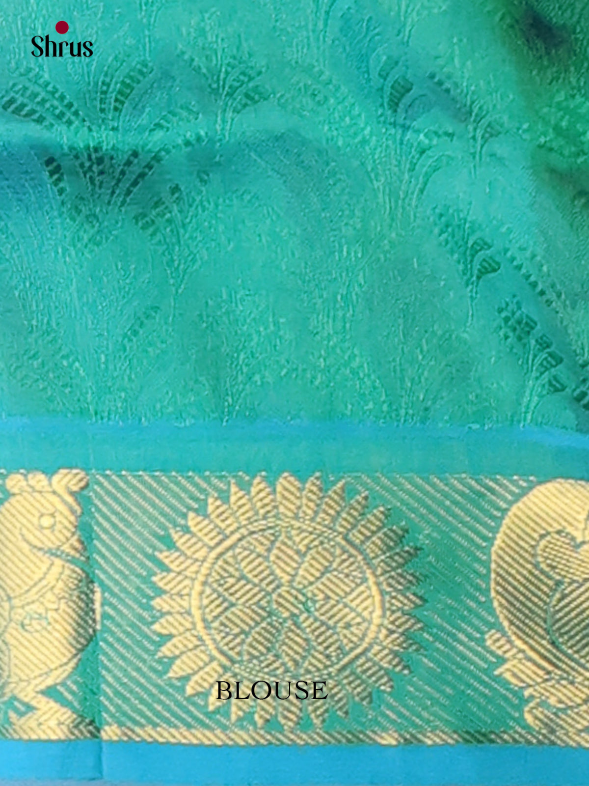 Silk Cotton Saree - EI01015