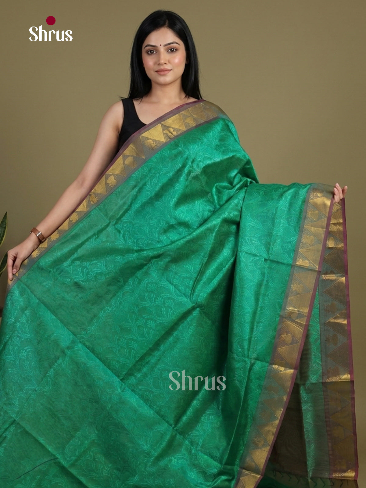 Silk Cotton Saree - EI01020