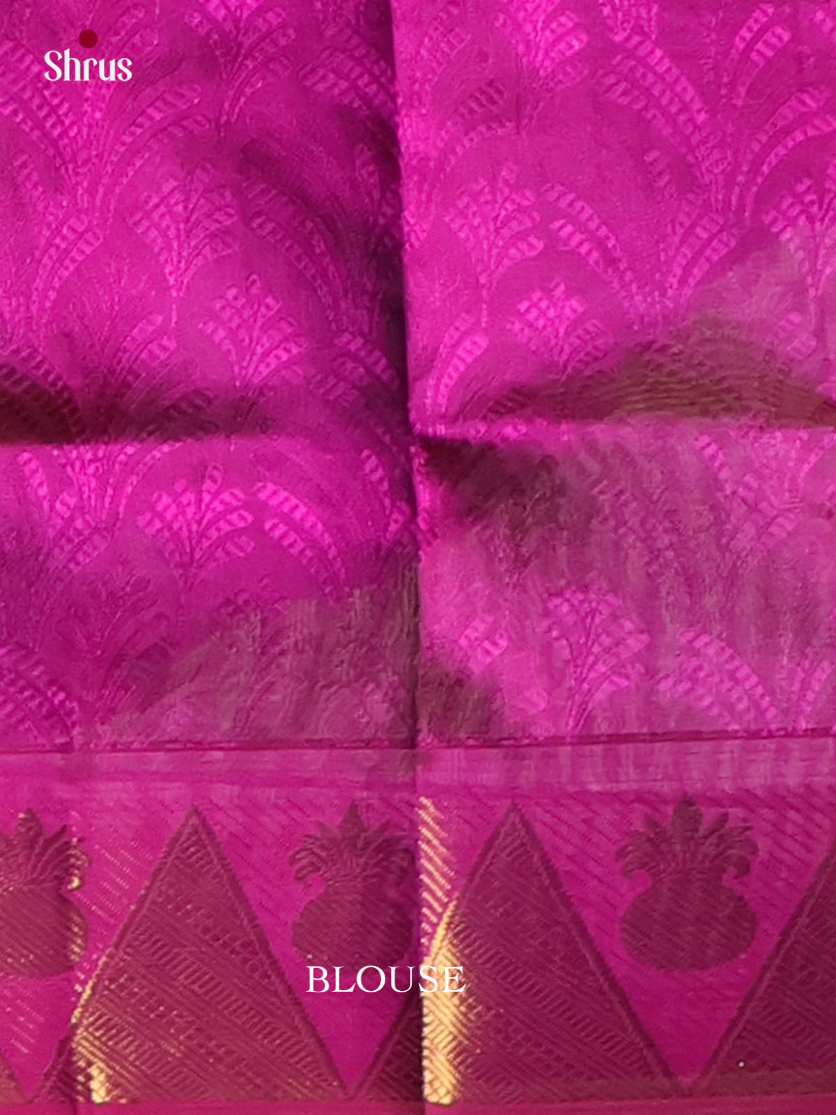 Silk Cotton Saree - EI01020
